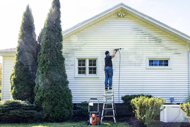 Best Pressure Washing Near Me  in Chisholm, ME