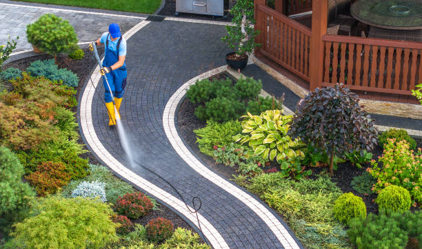 Best Pressure Washing Driveway  in Chisholm, ME